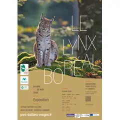 Projection - Débat du film « Chasseurs-proies-lynx » 
