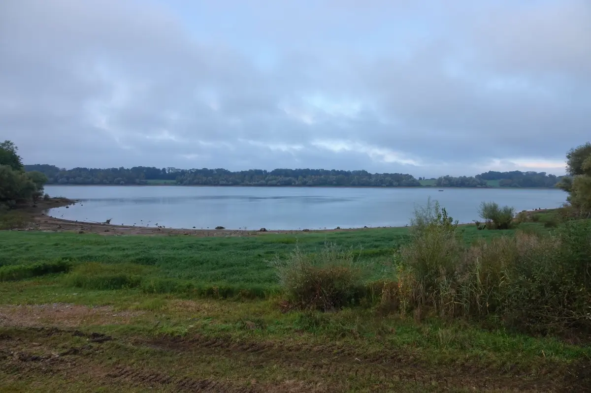 Les oiseaux hivernants au lac de Michelbach