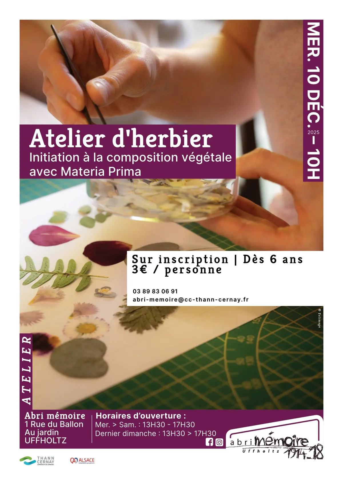 Atelier de création d'un herbier