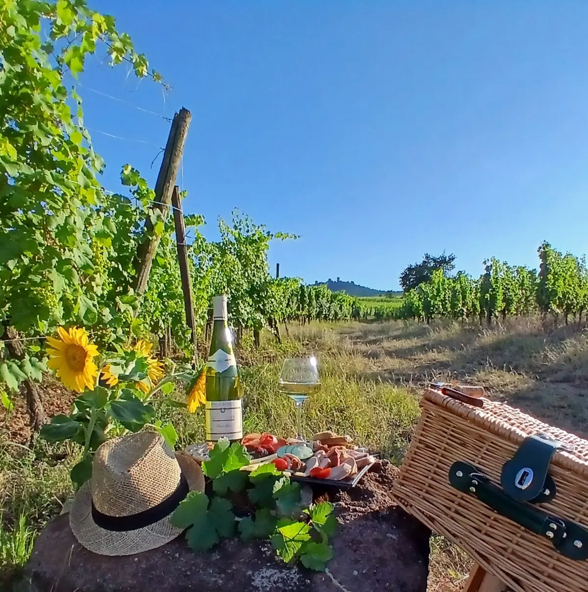 Panier pique-nique dans les vignes