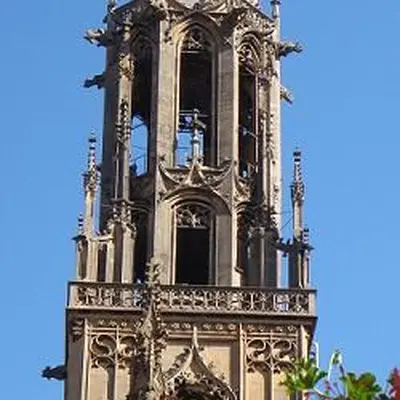 Montée au clocher de la Collégiale Saint Thiébaut