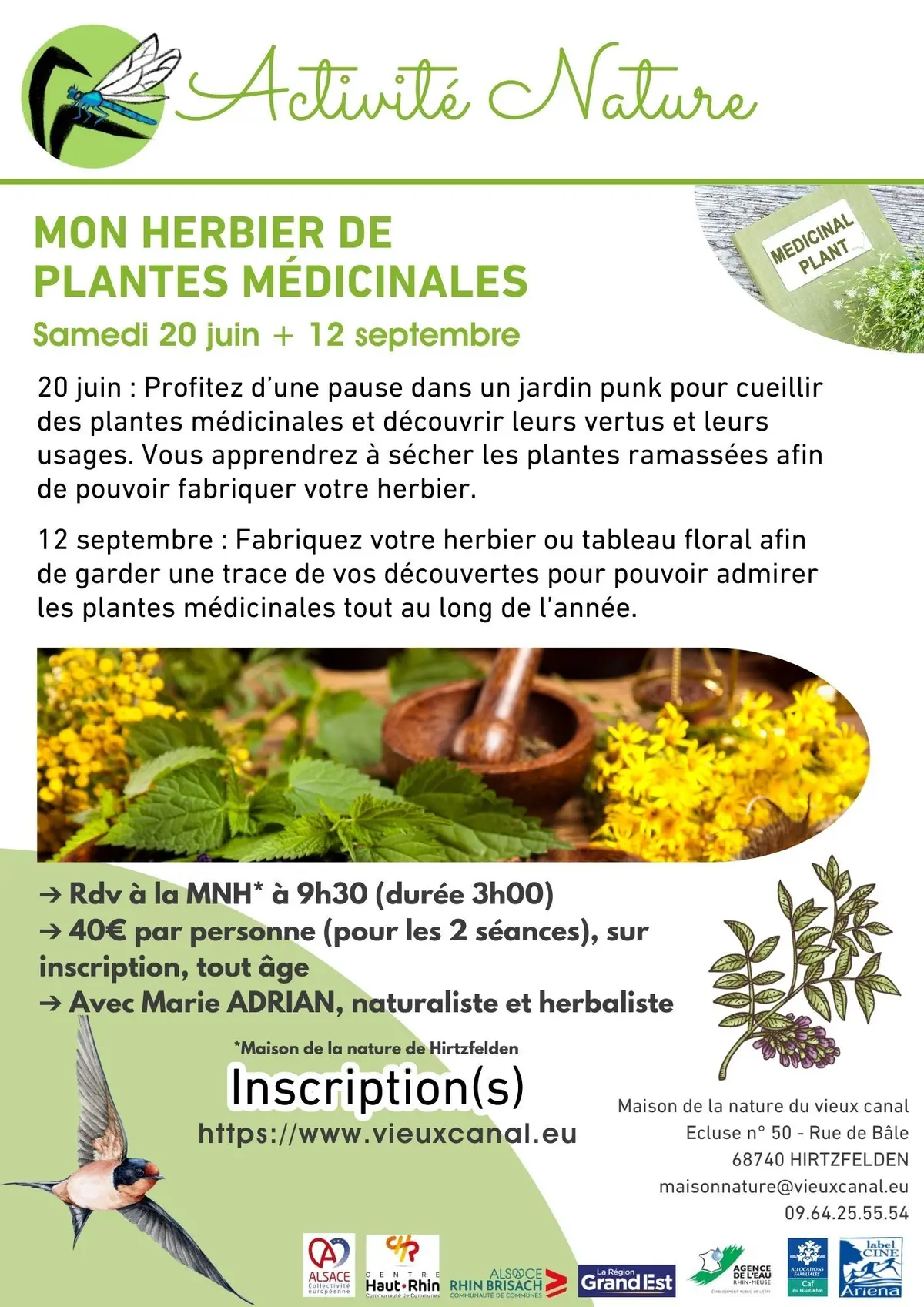 Mon herbier de plantes médicinales 