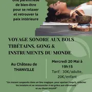 Voyage sonore & bain de gong sacré 