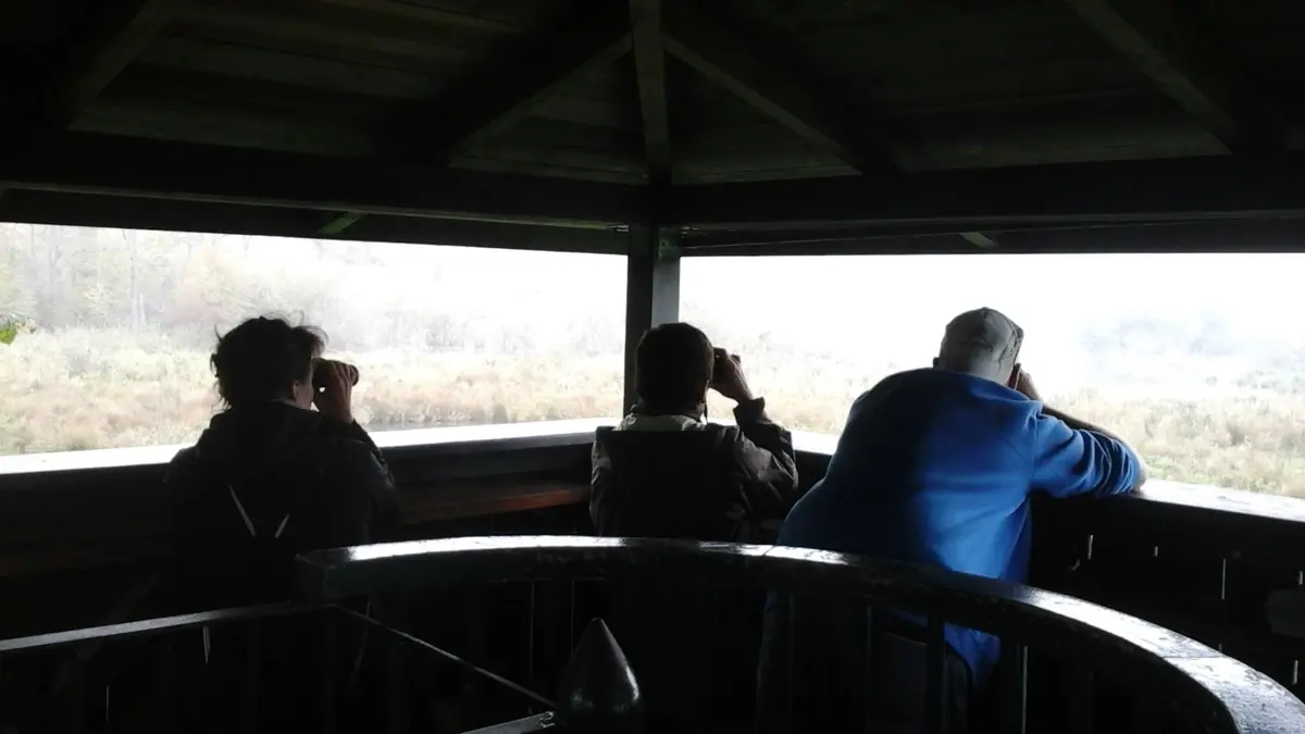 A travers les jumelles