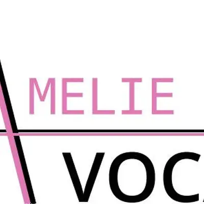 Avocat maître Amélie Huin