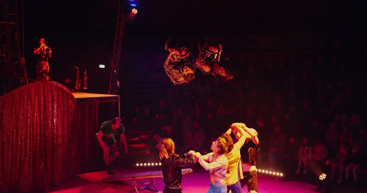FUN N°1 - Circus I Love You