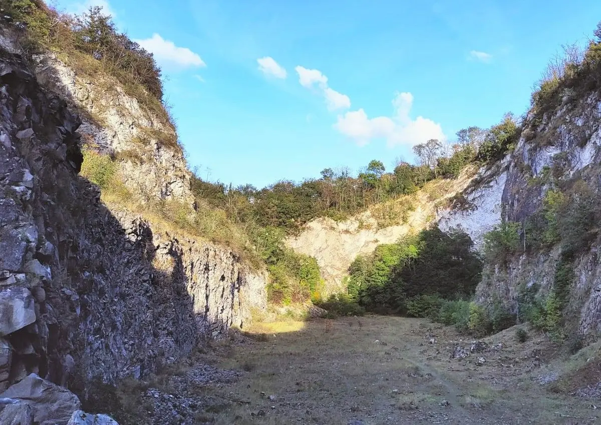 Le Kaiserstuhl, un volcan dans la plaine du Rhin ! 