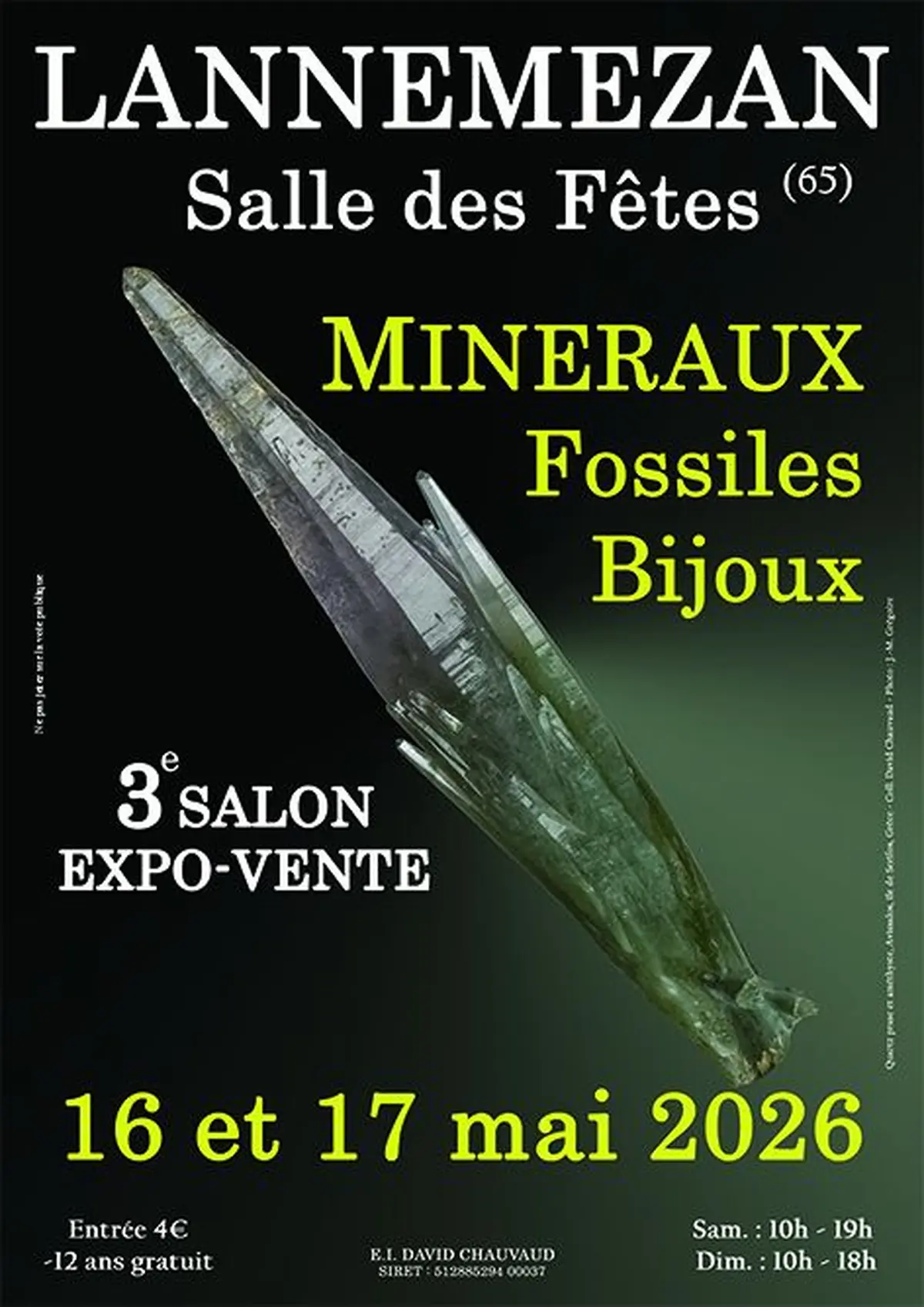 3e SALON Minéraux Fossiles Bijoux de LANNEMEZAN (Hautes-Pyrénées)