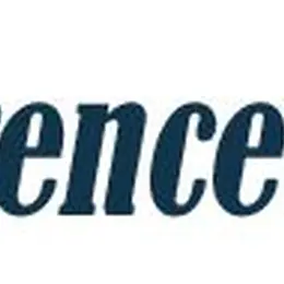 Consultant seo
