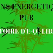 Soins Énergétique Pur. Histoire d\'E-Qi-Libre.