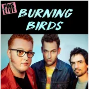 Pins en Live - Burning birds