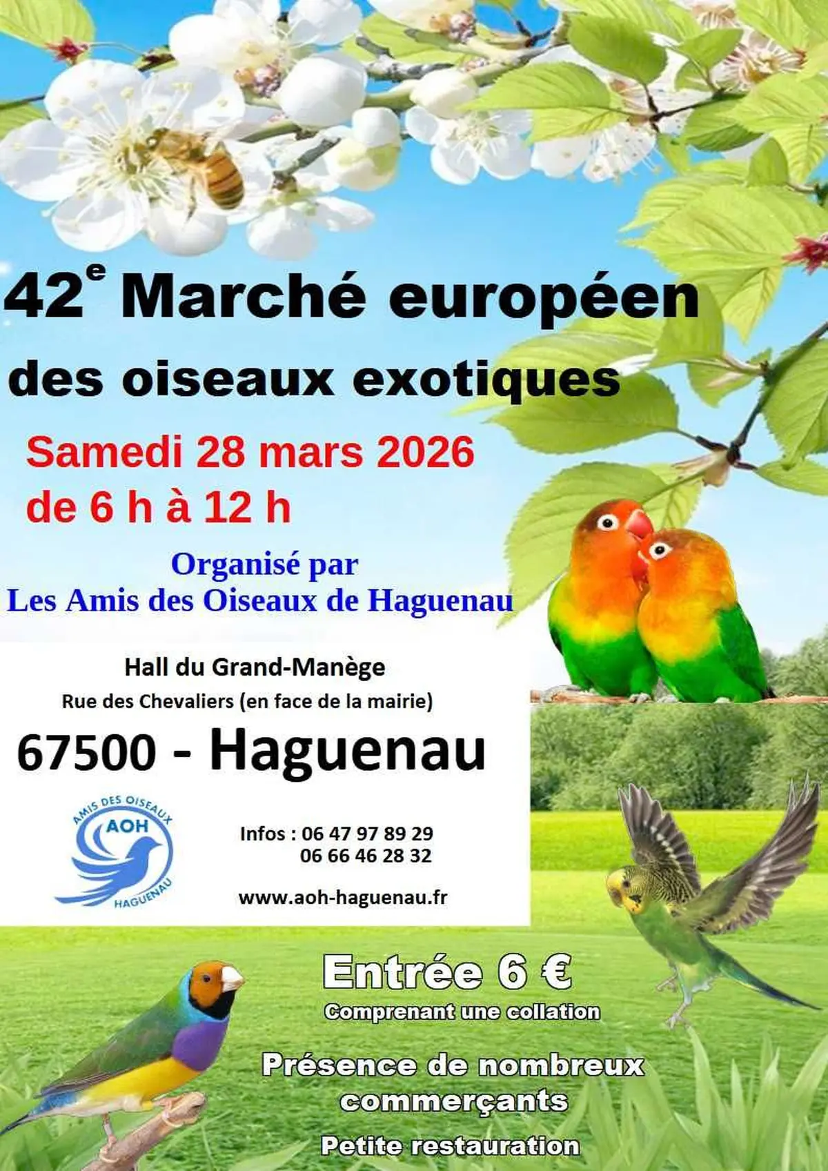 44e marché européen des oiseaux exotiques