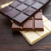 Conférence sur le chocolat
