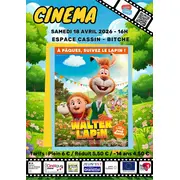 Cinéma à l'espace Cassin - Walter Lapin