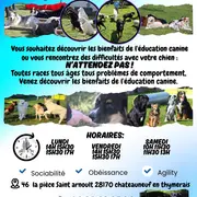 Portes ouvertes Education Canine Chateauneuf en Thymerais