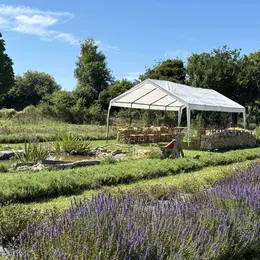 Fête des Plantes