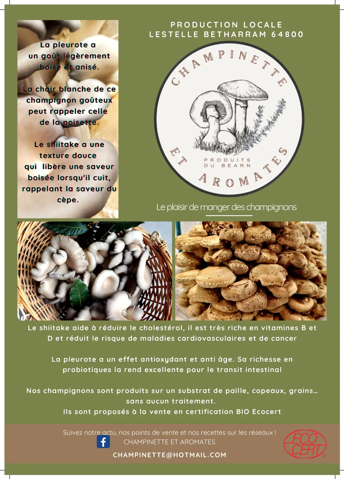 Champinette et aromates