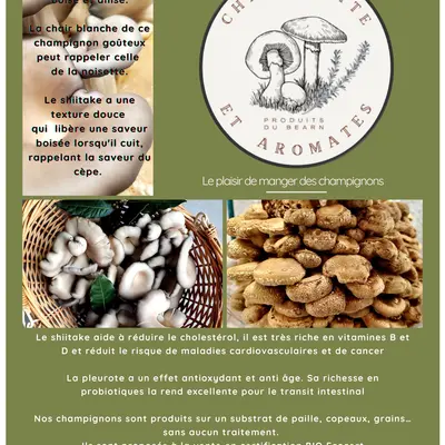 Champinette et aromates