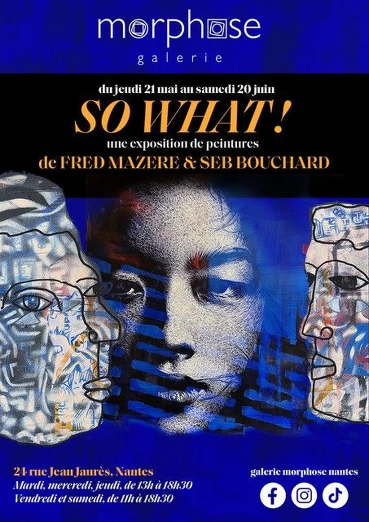 Exposition So what ! | Art contemporain | Seb Bouchard & Fred Mazere