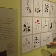 Visite flash : Les Antonins à Issenheim