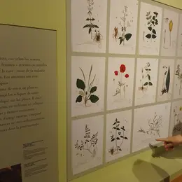 Visite flash : Les Antonins à Issenheim