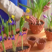 Stage Céramique Fabrique tes pots & jardinières