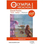 David Pochic Peintures