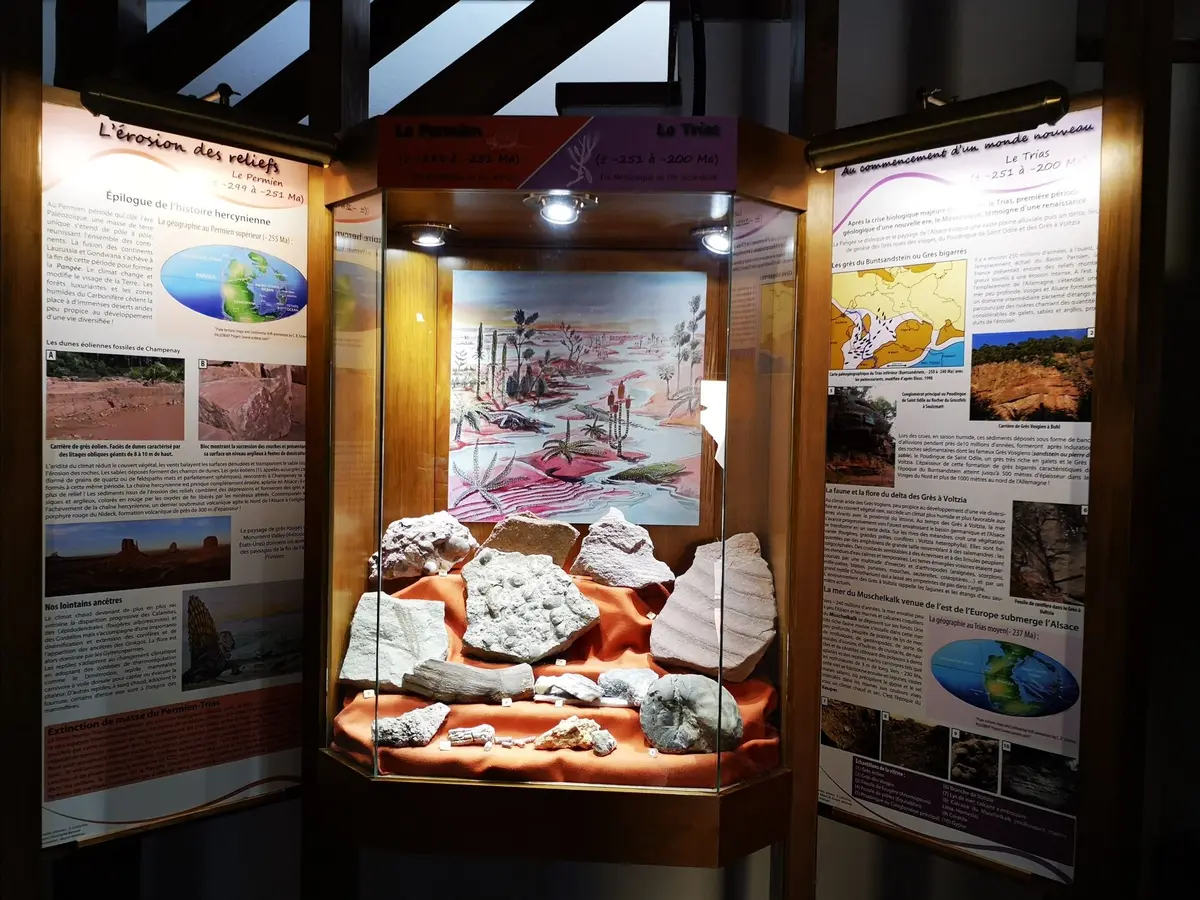 Musée de la géologie de Maison de la Terre