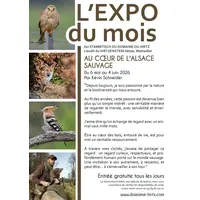 Au coeur de l'Alsace sauvage par Kévin Schneider &copy; Domaine du HIRTZ