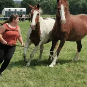10ème Chevauchée du Courlis