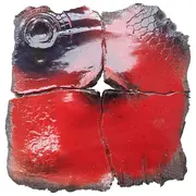 Escale en Terres Insolites