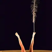 Festival Compli'cité - Le plus petit Cirk du bord du bout du monde