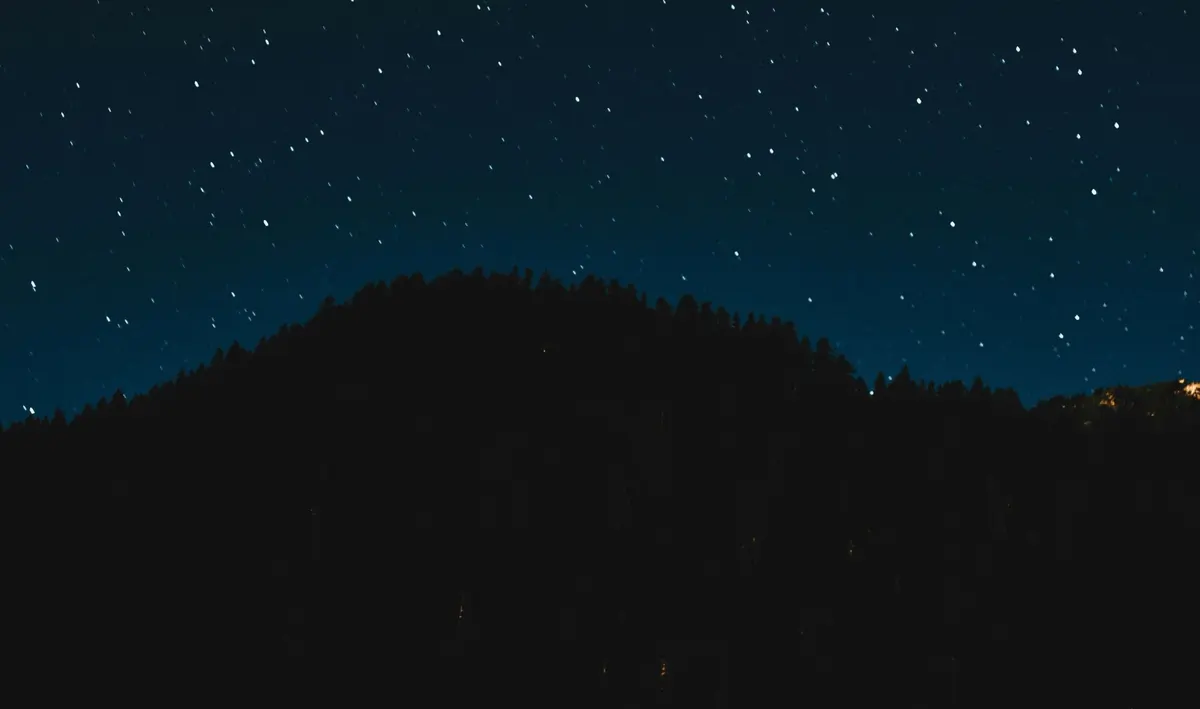 Vendredis de l’été | Balade nature – Les sons de la nuit