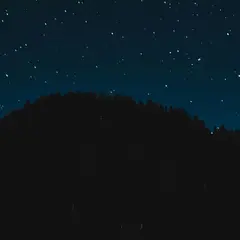 Vendredis de l’été | Balade nature – Les sons de la nuit