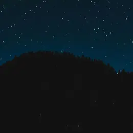 Vendredis de l’été | Balade nature – Les sons de la nuit
