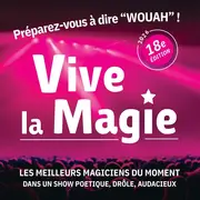 Atelier de magie ados / adultes - Festival vive la magie