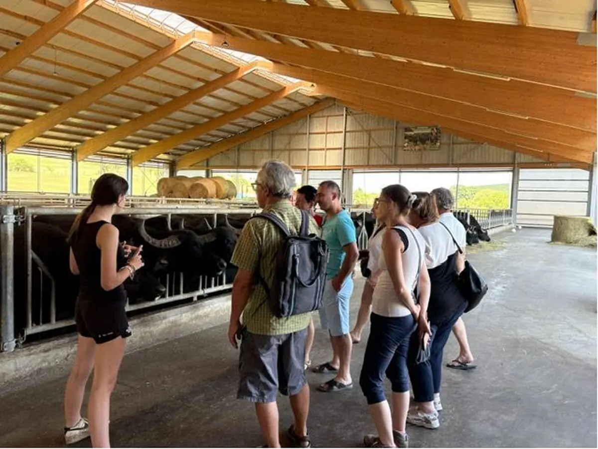 Découverte du Domaine des Bufflonnes