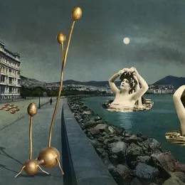 Daniel Rothbart - Confluences 