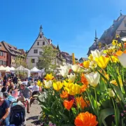Marché de printemps à Obernai