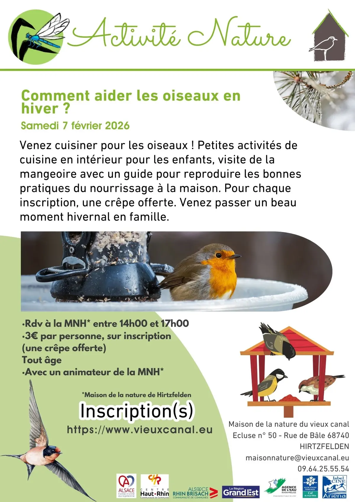 Comment aider les oiseaux en hiver ?