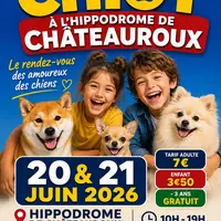 Salon du chiot et du chaton  &copy; La maison de l’éleveur 