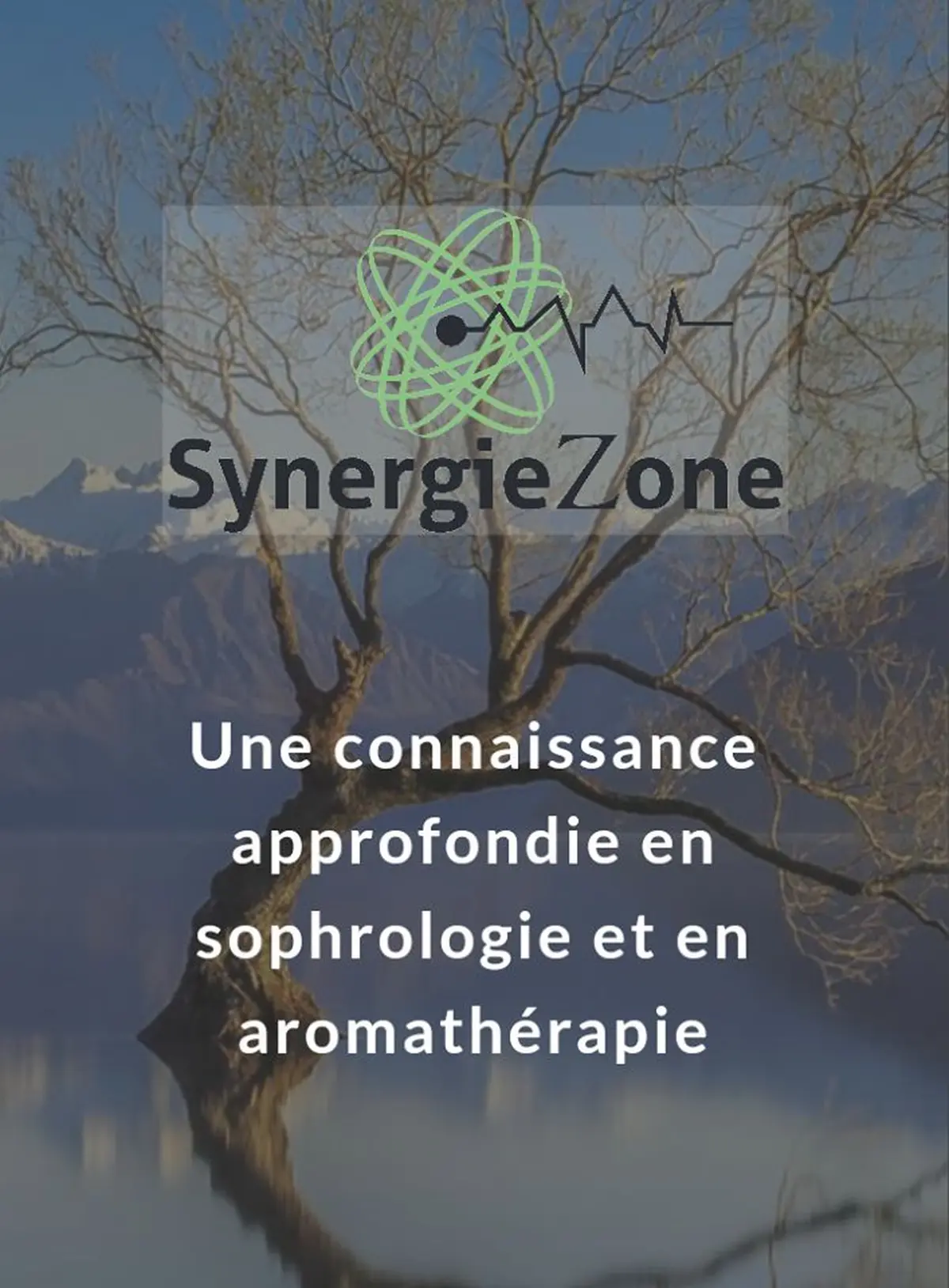 SynergieZOne