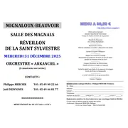 Réveillon de la Saint-Sylvestre