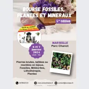 Bourse fossiles, plantes, coquillages et minéraux