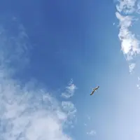 Au Nom du Ciel &copy; Yuval Rozman