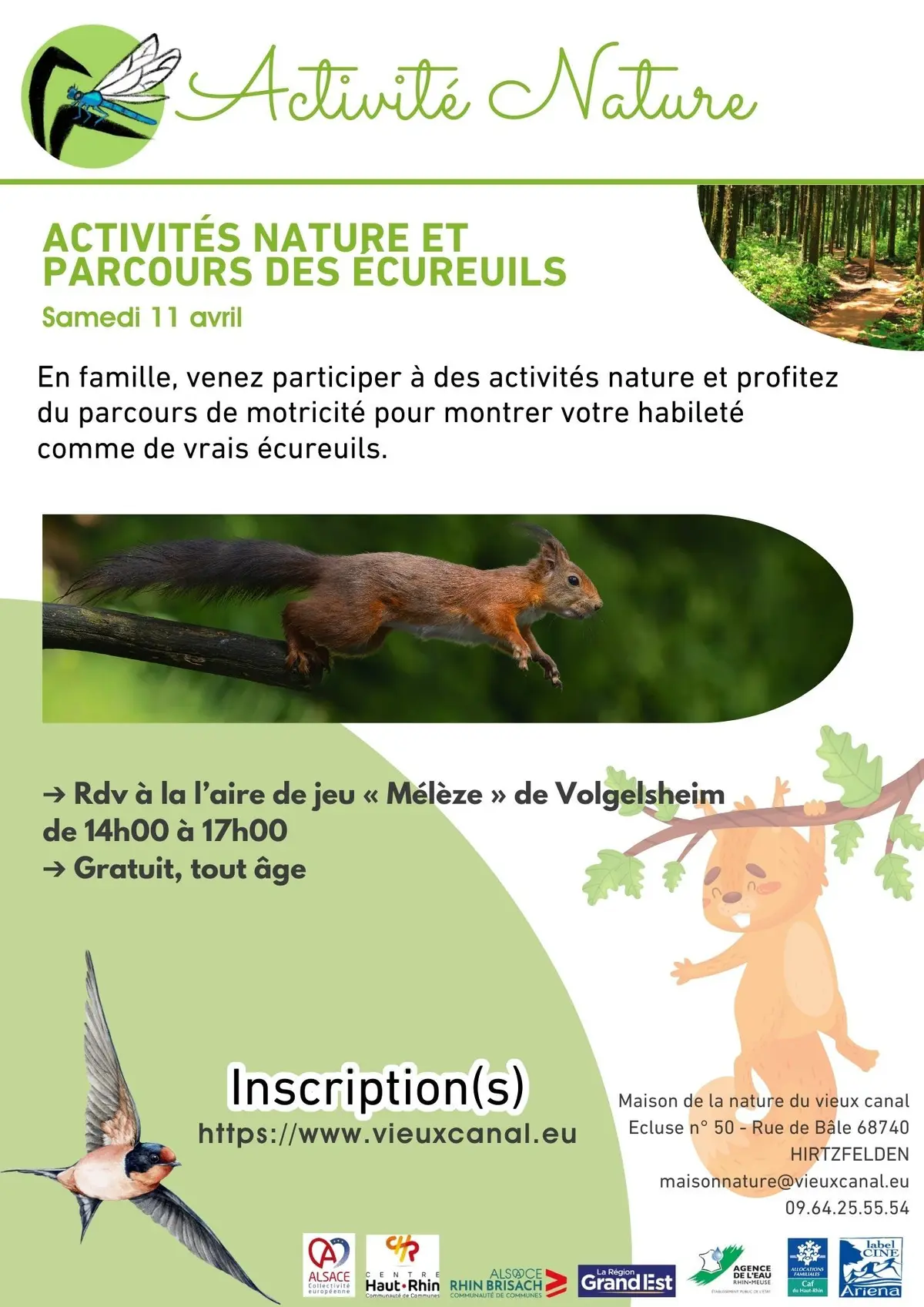 Activités nature et parcours des écureuils