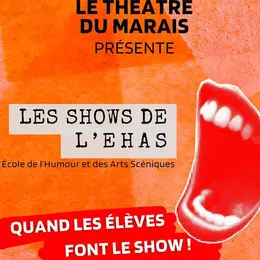 Les shows de l'EHAS - Quand les élèves font le show !