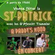Soirée de la SAINT - PATRICK
