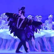 Le Lac des Cygnes L'international Festival Ballet