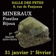 1er SALON Minéraux Fossiles Bijoux de VILLESISCLE (Aude)